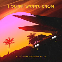I Don't Wanna Know - Melih Aydogan & Brenda Mullen