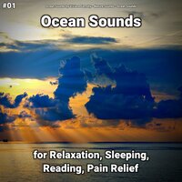 Ocean Sounds Part 43 - Ocean Sounds by Viviana Fernsby & Nature Sounds & Ocean Sounds