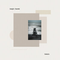 Violet Noise - Jungle Sounds