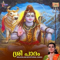 Kandalum Kandaalum - Veena