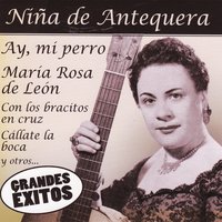 Ay Mi Perro - Niña de Antequera