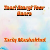 Tasha Peyalai Ke Khumar Raka - Tariq Mashokhel