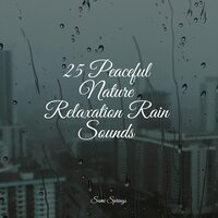 Forest, Wind, Heavy - Brain Study Music Guys & Sleep Sound Library & Relaxing Sounds of Nature