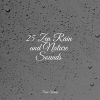 Draining Rains - Studying Music & Forest Soundscapes & Regen zum Schlafen