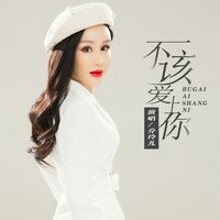 不该爱上你 - 乔玲儿