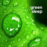 Green Sleep, Pt.6 - Sensitive ASMR