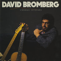 Come All You Fair And Tender Maidens - David Bromberg