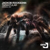 Tarantular - Jackob Rocksonn