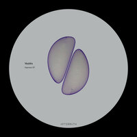 Raw Phonics - Vazdra