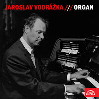 Fugue in D Major - Jaroslav Vodrážka