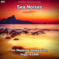 Sea Noises Part 66 - shoreline sounds & Nature Sounds & Ocean Sounds