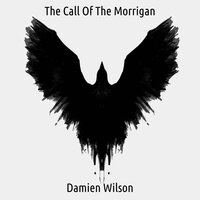 The Sins Of Medb - Damien Wilson