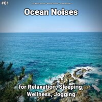 Ocean Noises Pt. 10 - Sea Waves Sounds & Nature Sounds & Ocean Sounds