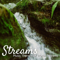 Relaxing Wetlands - Rivers and Streams & Relaxing Radiance & Water Soundscapes