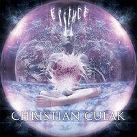 Structure of Perception - Culak