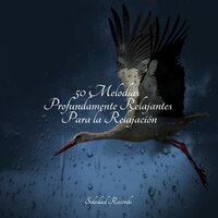 Recuerdos Rosas - Música de la Naturaleza & Lluvia & Massagem