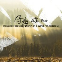 Isolated Forest Birdsong and Wind Ambience, Pt. 9 - Sebastian Riegl
