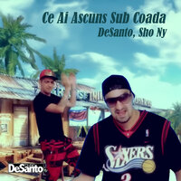 Ce ai ascuns sub coada - DeSanto & Sho Ny