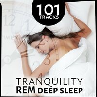 Deep Sleep - Stages of Sleep Music Universe