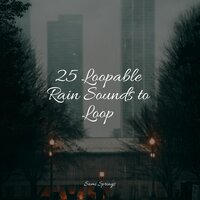 Lakeside, Birds, Lapping Water - ASMR Rain Sounds & Rain Hard & Sleep Songs 101