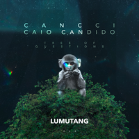 Tree of Questions - CANCCI & Caio Candido