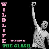 Train in Vain - Wildlife