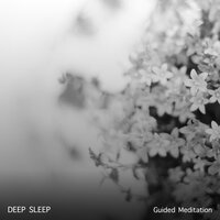 Sleep Under the Theta Waves - Guided Meditation Music Zone, Chinese Meditation and Relaxation, Deep Relaxation Meditation Academy & Guided Meditation Music Zone & Deep Relaxation Meditation Academy & Chinese Meditation and Relaxation