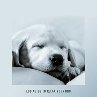 Moments for Relax - Lynn Samadhi