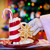 Our Christmas Tree - Christmas Canon Specialists, Lullaby Christmas, Canciones De Navidad & Canciones De Navidad & Lullaby Christmas & Christmas Canon Specialists