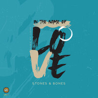 Desire - Stones & Bones & Zacas