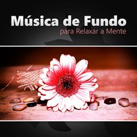 Chakras do Corpo - Meditação Música Ambiente