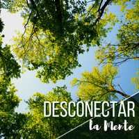 Desconectar la Mente - Mente Abierta