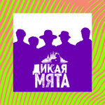 Дикая мята