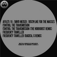 Frequency Traveller - David Meiser