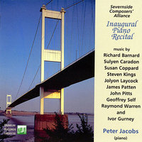 Aire 1 - Peter Jacobs