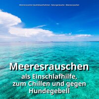 Chill Out im Jetzt - Meeresrauschen Qualitätsaufnahmen & Naturgeräusche & Meeresrauschen