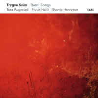 Seeing Double - Trygve Seim & Tora Augestad & Frode Haltli & Svante Henryson