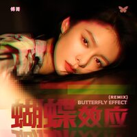 蝴蝶效应 - 傅菁