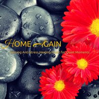 Falling Rain - Soundscapes - Spa Music Relaxation Meditation