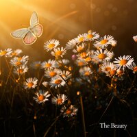 The Beauty, Pt. 2 - Relaxing Music for Stress Relief