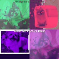 Contemporary Backdrops for Puppy Anxiety - Music for Puppies Moods
