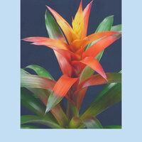 Delightful Ambience for Recharging Routines - Boutique Hotel Music