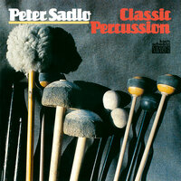 P.M. Hamel: Der Sturz - Peter Sadlo