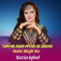 Tum Ne Ager Piyar Se Dekha Nehi Mujh Ko - Nazia iqbal
