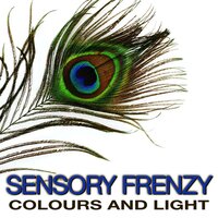 Life Dreams - Sensory Frenzy