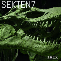 Fly Higher 7 - Sekten7