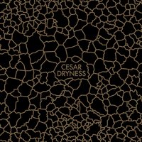 Dryness - CESAR