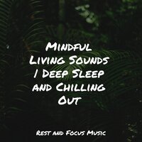 Solemn Spring - Relax Meditation Sleep & Tibetan Singing Bowls for Relaxation & Music For Absolute Sleep