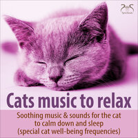 Cat Sleep Music with Garden Sounds, Rustling and Purring, Without Low Frequencies - Music for Cats TA & Torsten Abrolat & Cat Relaxing Sounds TA