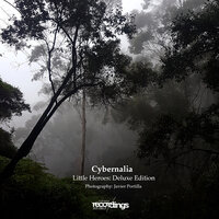 Tainted Spaces - Cybernalia